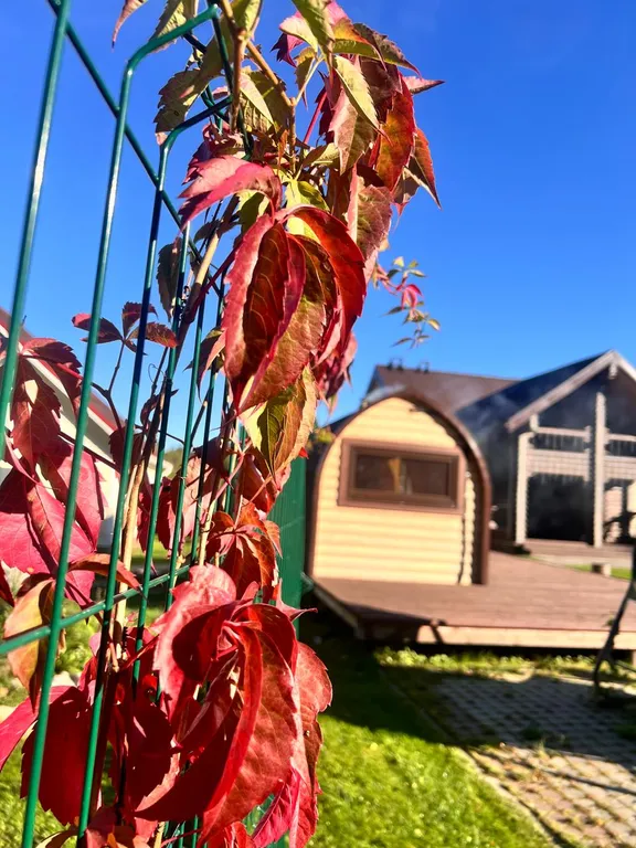 Коттедж Хаски дом — Разметелево