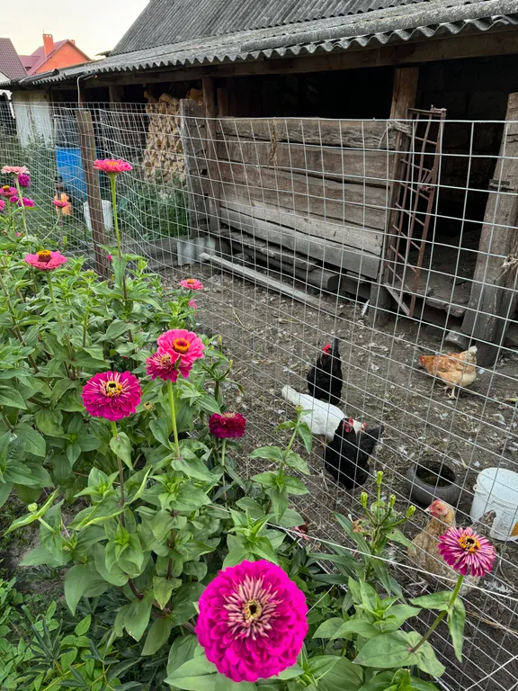 Дом с баней и бассейном