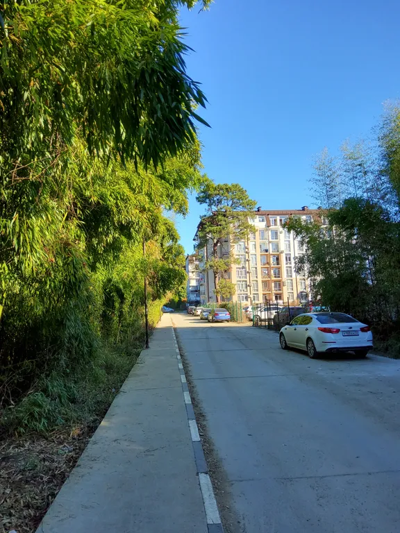 Квартира 1-комнатная Квартира — Сириус