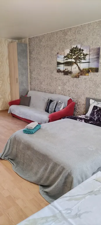 Квартира Уютная студия — аренда посуточно в Раменское