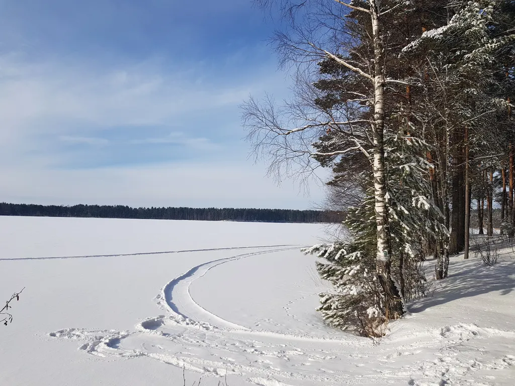 Коттедж Уютнейший дом с роскошным видом на озеро — Ларионово
