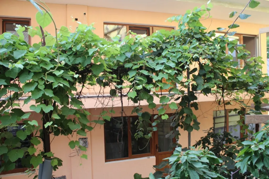 2-х комнатная квартира студия 45кв.м