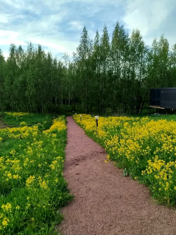 Коттедж у леса Scandi Sweet Home