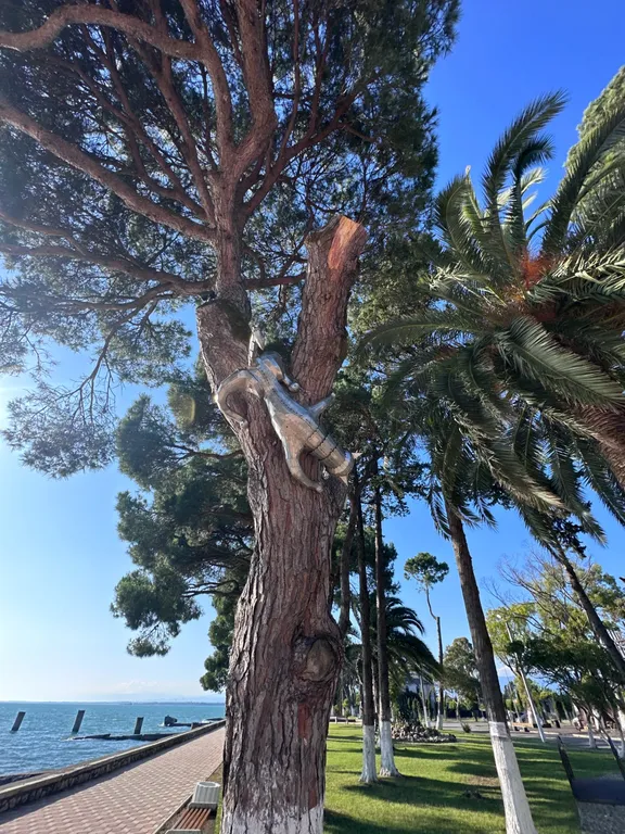 Двухкомнатная квартира "Классика" в Очамчире  | 200 м от набережной