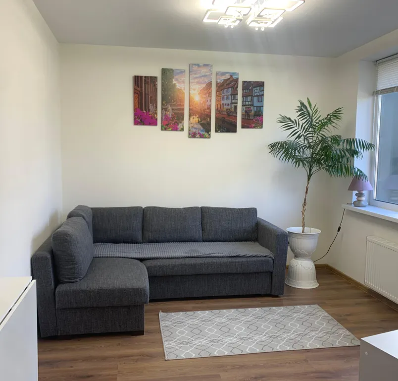 1-комнатная Квартира — аренда посуточно в Мурино