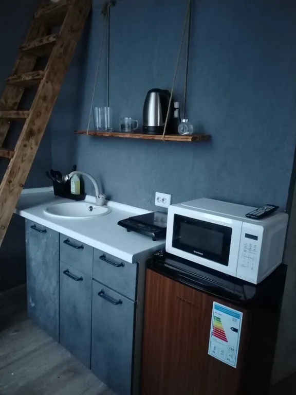 Квартира Квартира Стильная студия в Царском Селе — Пушкин