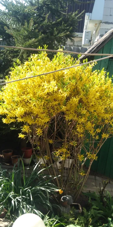 Уютное жилье недалеко от моря