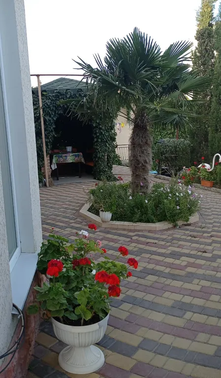 Квартира Трехместная комфортабельная комната с санузлом и балконом — Судак