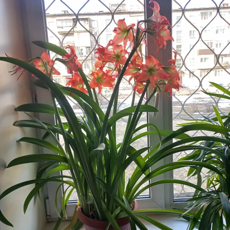 Уютная однокомнатная квартира