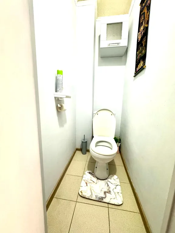 Апартаменты рядом с Глобусом