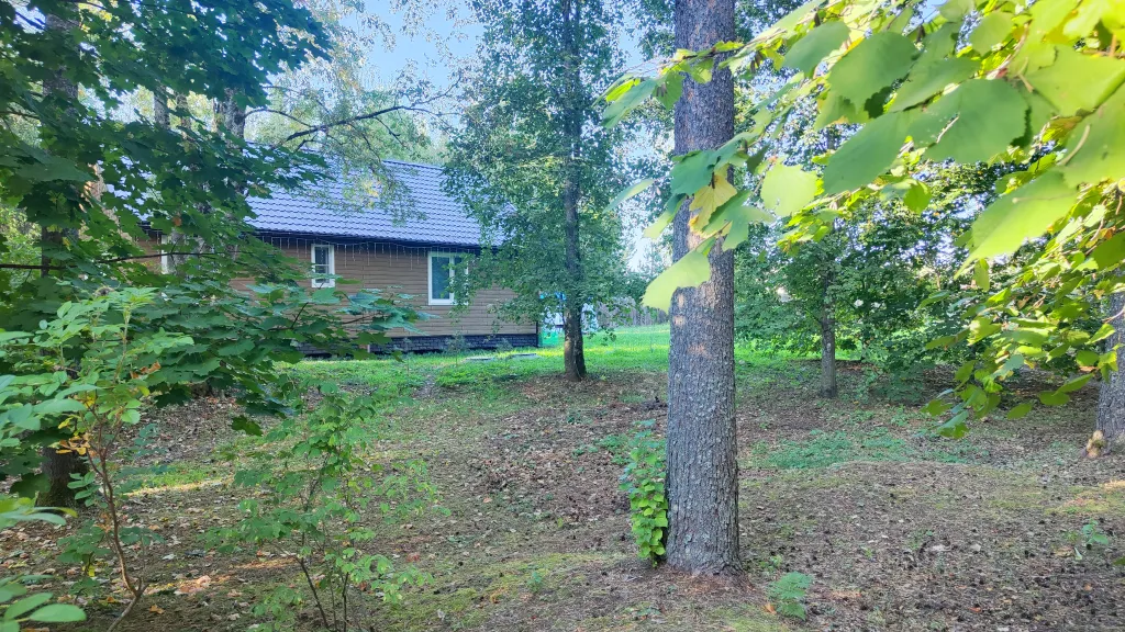 Коттедж Коттедж с баней, чаном и детской площадкой с батутом у озера, в бору — Ланино