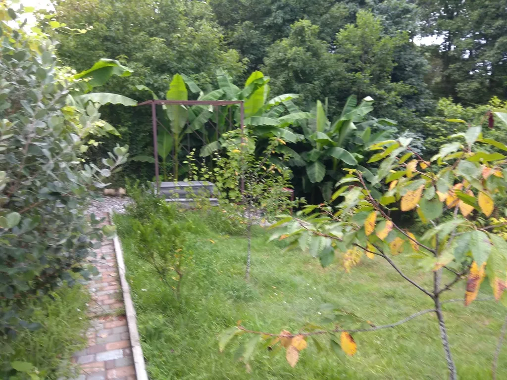 Квартира Комната — Сочи