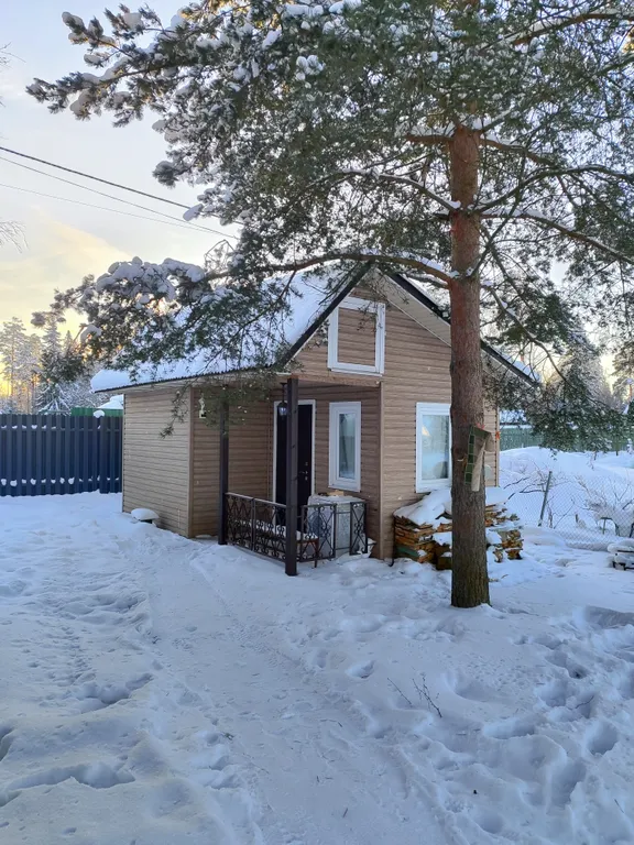 Хижина чудес