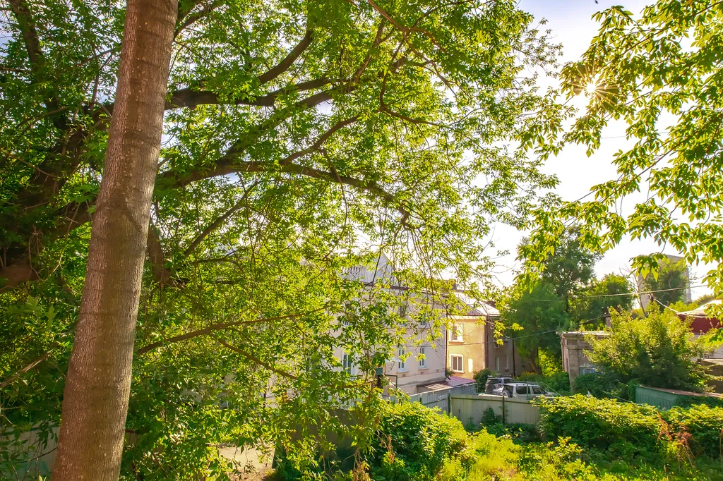 3-комнатная квартира в самом центре Владивостока