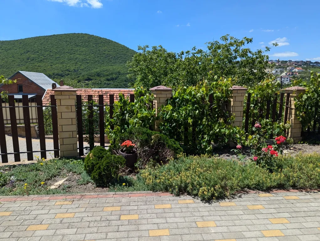 Уютные апартаменты у моря