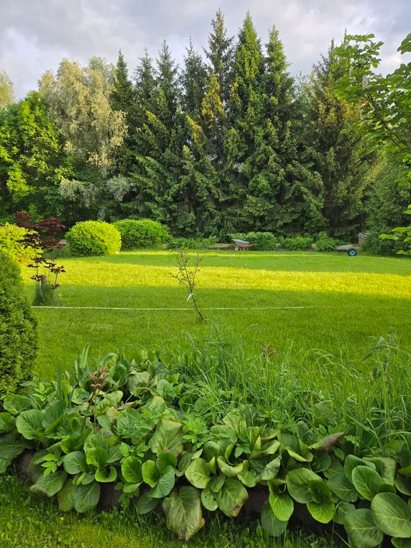 Коттедж Гостевой дом-баня — Гаврилов-Ям