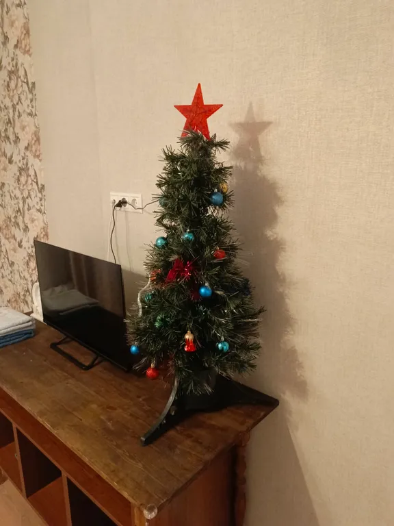 Уютная и чистая квартира в самом центре с новым ремонтом