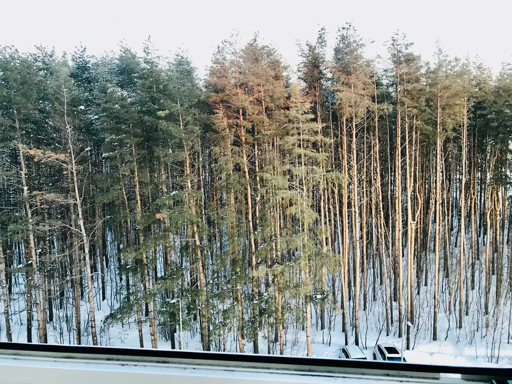 Отличная квартира в ЖК Настроения