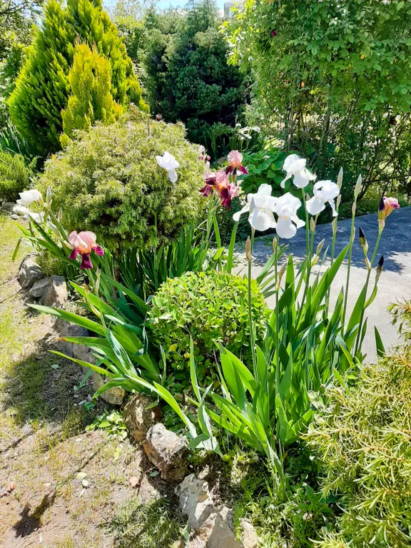 Гостевой дом Anna