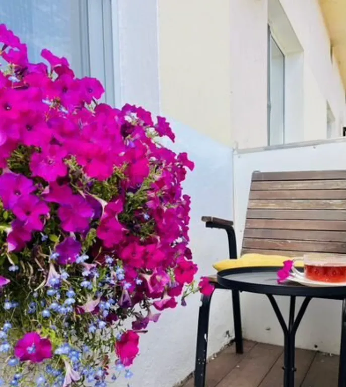 Апартаменты у стен Кремля