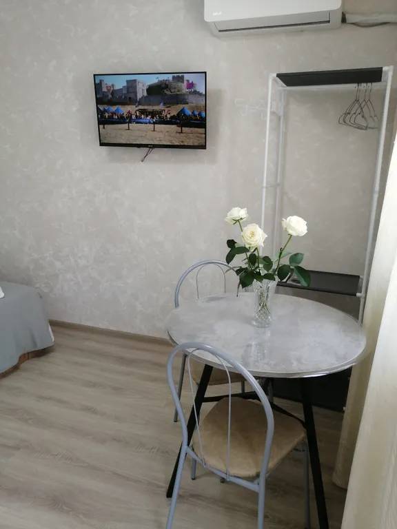 Студия с террасой