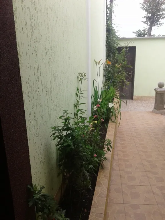 Квартира недалеко от моря