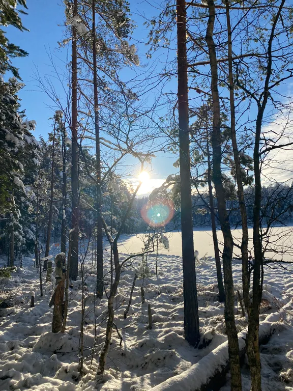 Уютный загородный коттедж недалеко от Игоры