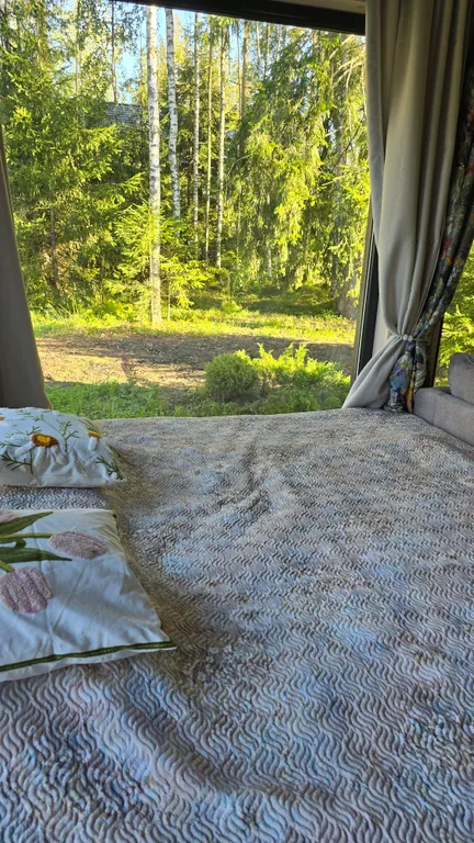 Проснуться в лесу