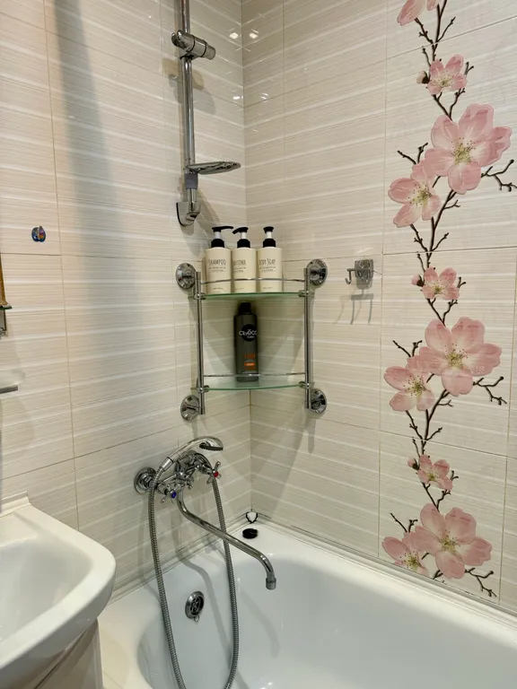 Комфортная однушечка в районе Горного воздуха