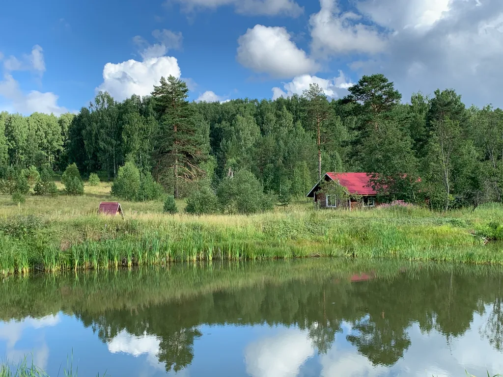 Уютные деревянные домики на Елани