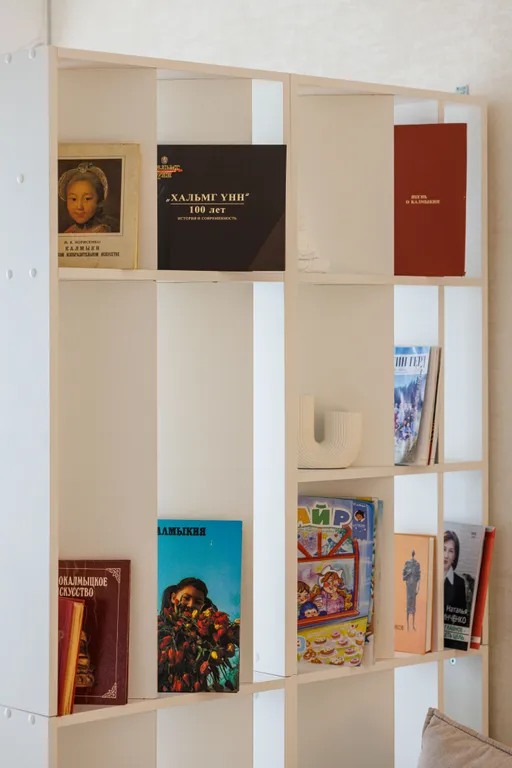 Квартира Стильная квартира в центре — Элиста