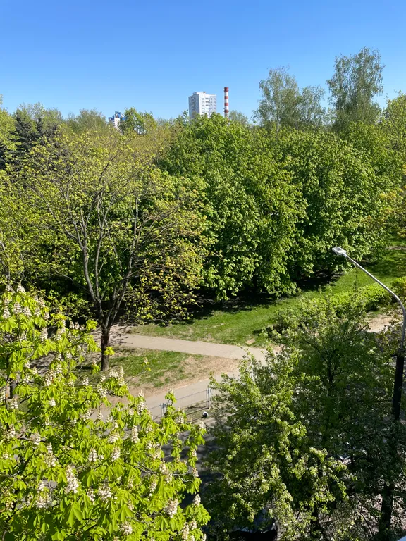 Квартира Уютная двухкомнатная квартира-студия в центре города — Минск