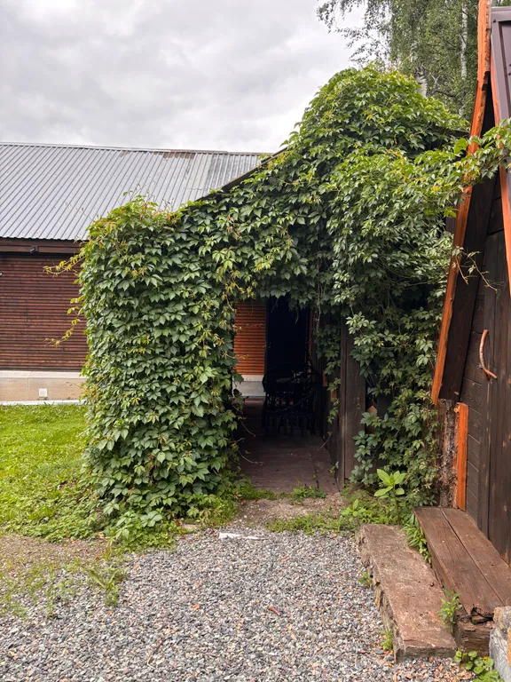 Отдых на Алтае