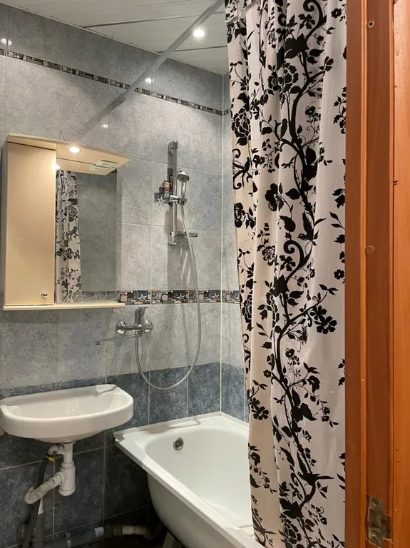 Просторная квартира у аквапарка