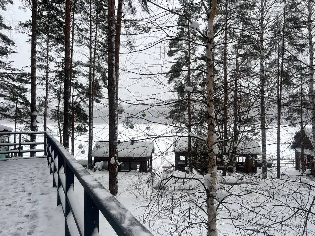 Дом 7 в лесу у реки