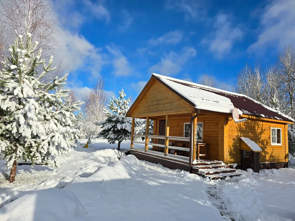 Уютный дом на 1 линии о. Cелигер