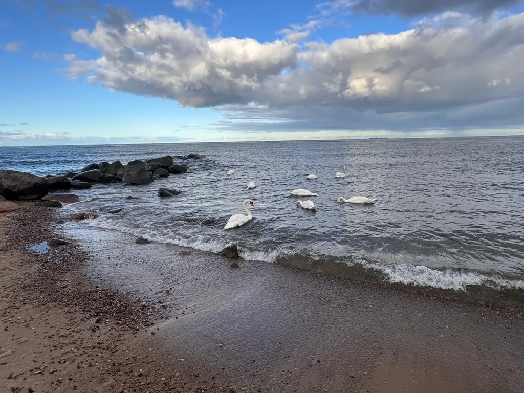 Квартира у моря