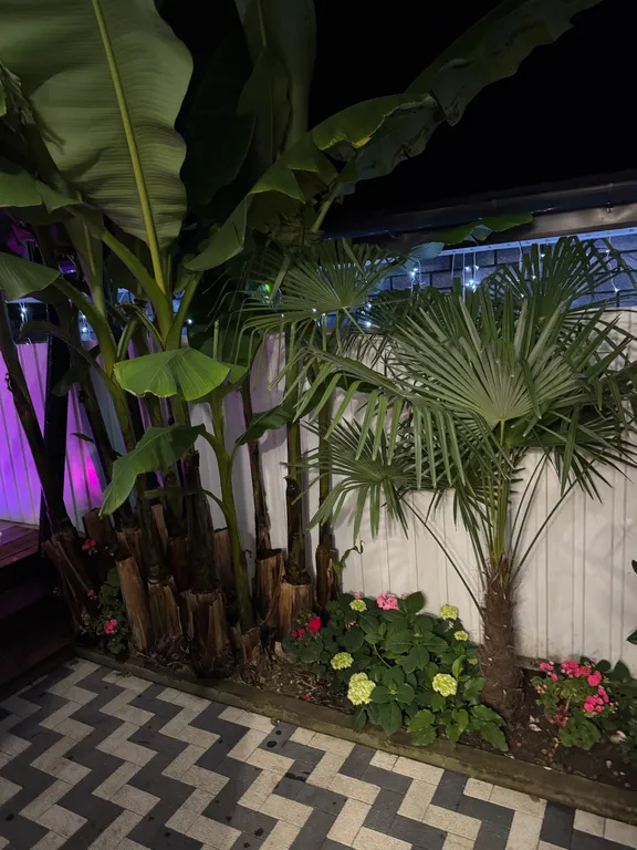 Уютный новый дом с собственным бассейном