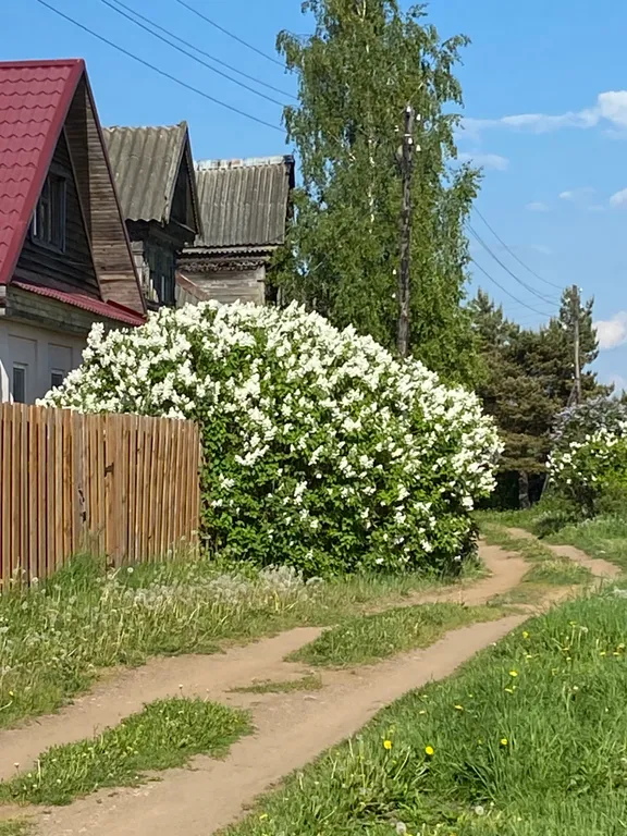 Коттедж Гостевой дом Березово 17 — Березово