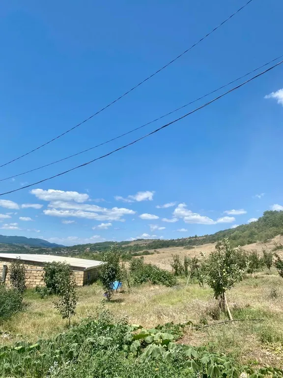 Апартаменты с видом на горы