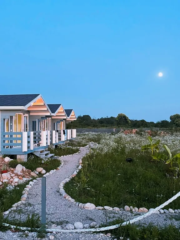 Роза Ветров