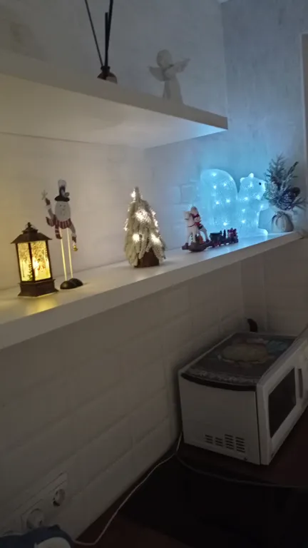 Красивая чистая квартира с красивым видом на арену