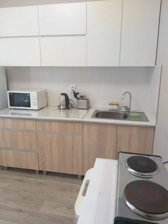 Уютная однокомнатна квартира в центре города