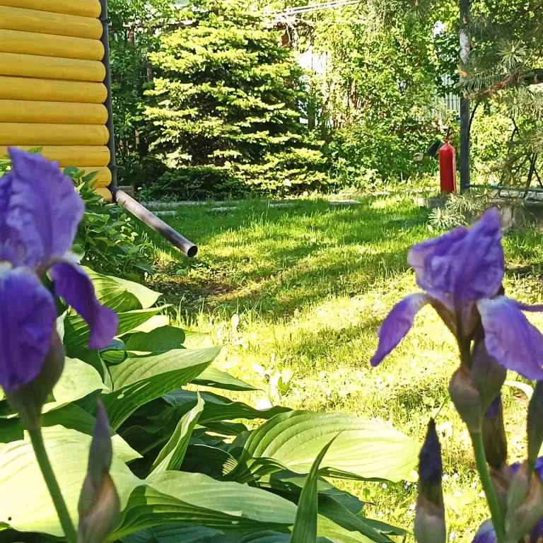 Коттедж Коттедж Курортное шале в писательском Переделкино — Москва