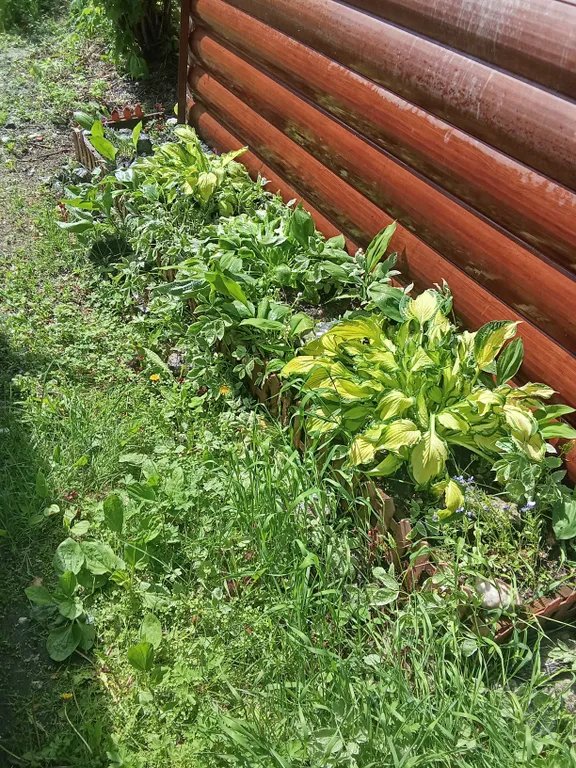 Квартира Увильды