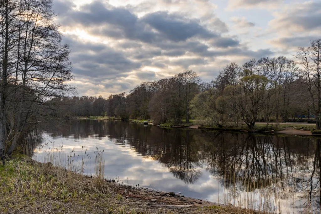 Однокомнатная квартира в лесу