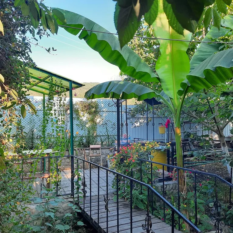 Для тихого семейного отдыха