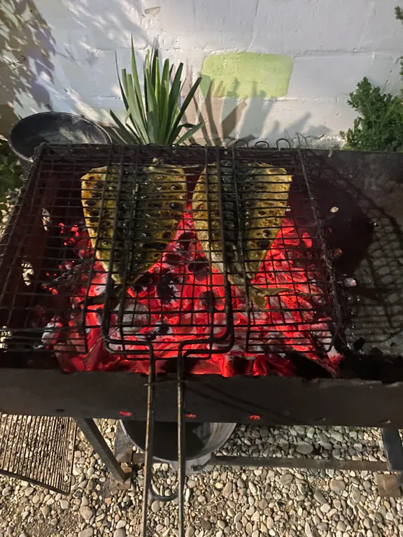 Уютные комнаты в семейном коттедже вблизи моря