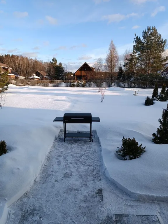 Боровики Хаус дом с камином