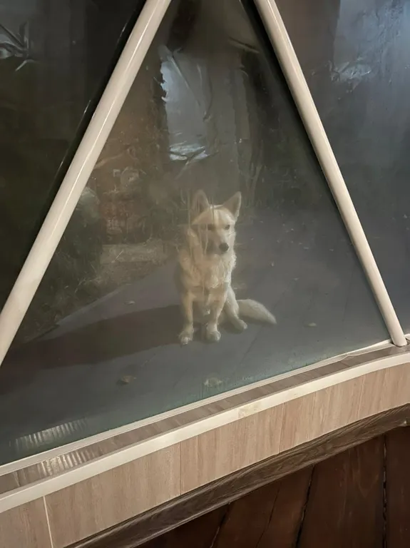 Шатер купольный в горах